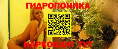 мяу мяу мука Абинск